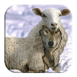 Wolves in sheep clothing