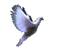 http://allmightywind.com/indexf/dove.gif