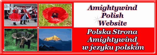 Visit New Amightywind Ministry Polish Site